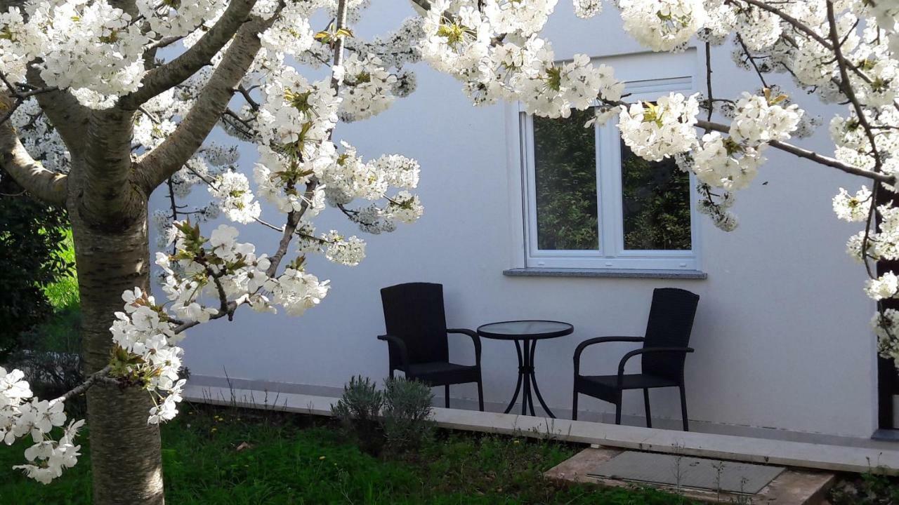 Galižana Apartment Greeny מראה חיצוני תמונה