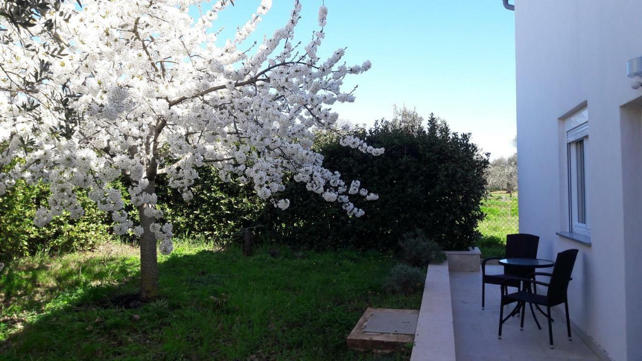 Galižana Apartment Greeny מראה חיצוני תמונה